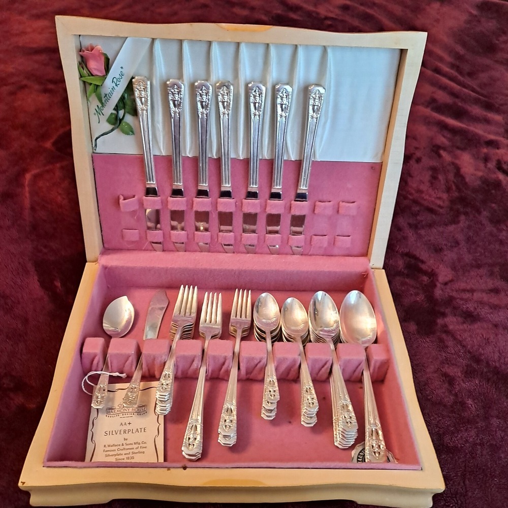 Vtg 51‎ Pc Wallace Harmony House Filigree Silver Plate AA+ W/Case